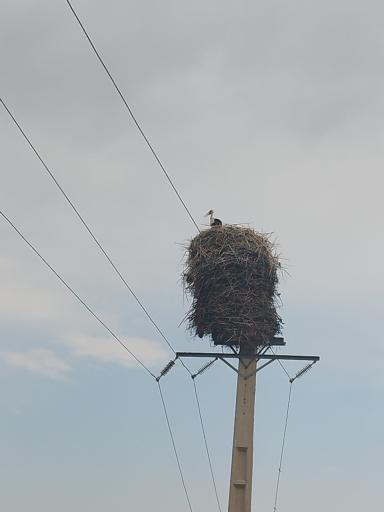 عکس کپرجودکی