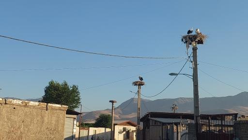 عکس کپرجودکی