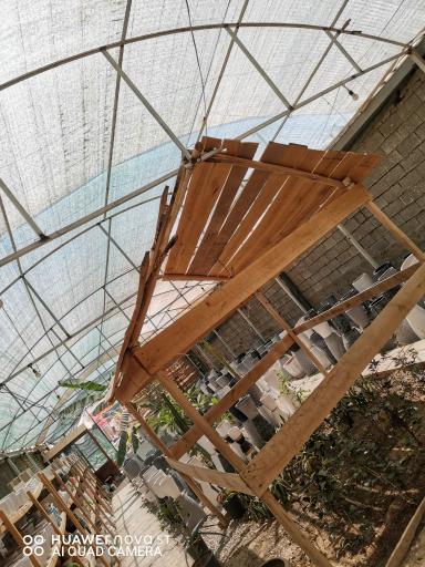 عکس گل فروشی دهکده گل