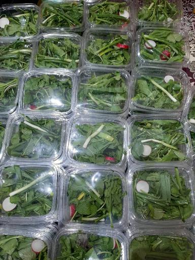 عکس فروشگاه تربچه 