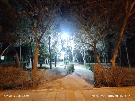 عکس پارک شمشاد