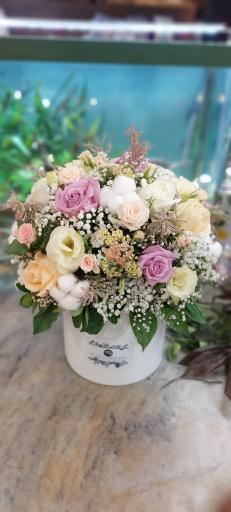 عکس گل و گیاه گلریز