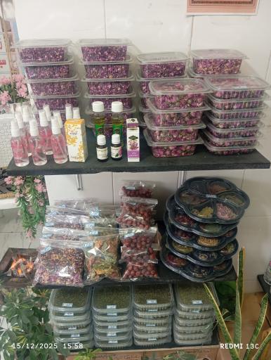 عکس گلابگیری قصر کعبه