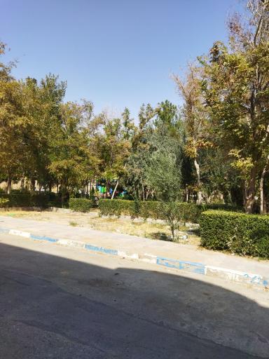 عکس پارک شمشاد