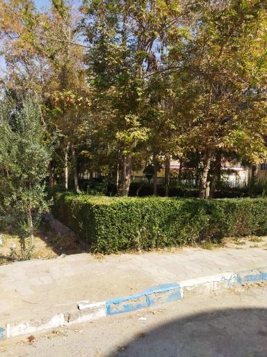 عکس پارک شمشاد