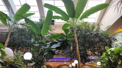 عکس رستوران سنتی باغ آنا