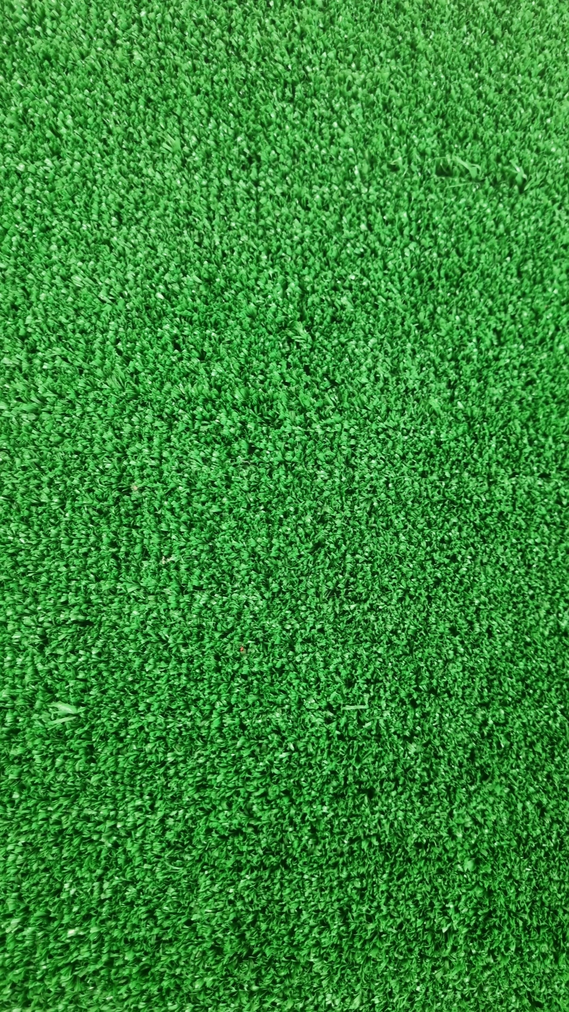 عکس چمن مصنوعی شهر چمن