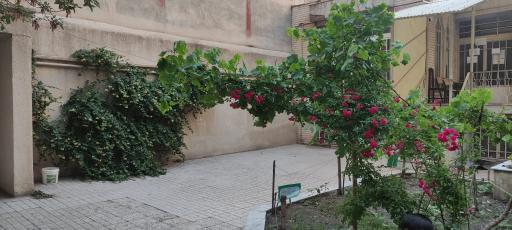 عکس مرکز جامع سنجش، آموزش و مداخله بهنگام مرحوم عدالتی