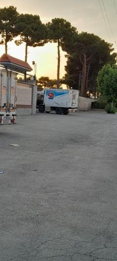 مجتمع لبنیات و بستنی به تک