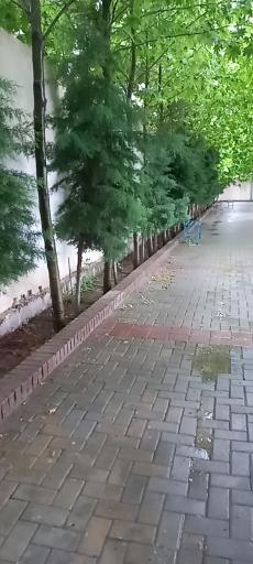 عکس موسسه آموزش عالی غیر انتفاعی شاندیز