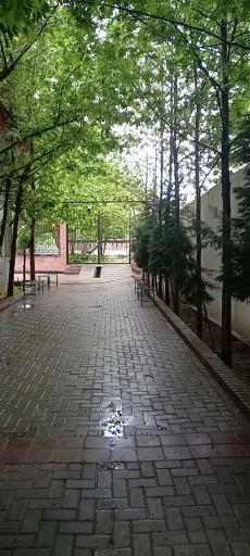 عکس موسسه آموزش عالی غیر انتفاعی شاندیز