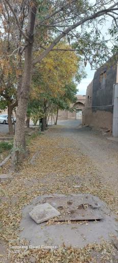 عکس سویز