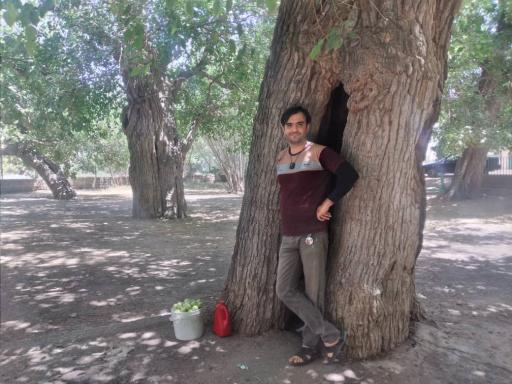 عکس استوه