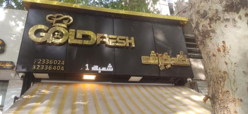 عکس هایپر پروتئین گلدفِرش