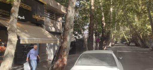 عکس هایپر پروتئین گلدفِرش