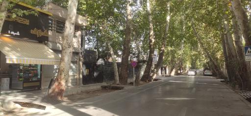 عکس هایپر پروتئین گلدفِرش