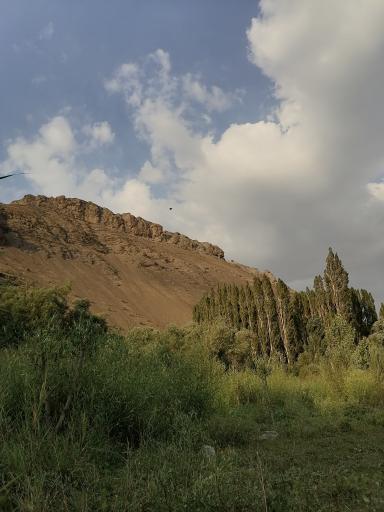 عکس استوه
