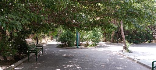 عکس بوستان ارکیده