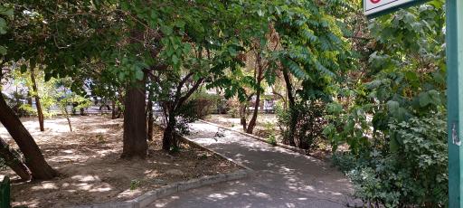 عکس بوستان ارکیده