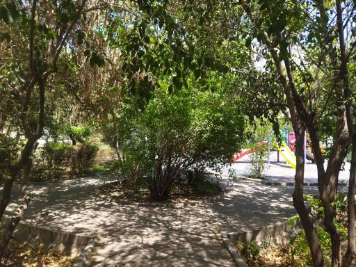 عکس بوستان ارکیده