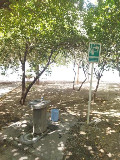 عکس بوستان ارکیده