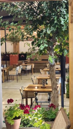 عکس کافه رستوران لونه