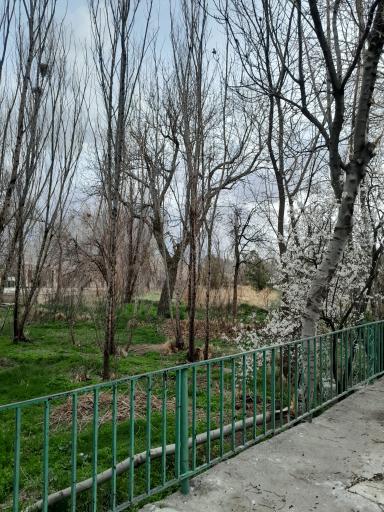 عکس استوه