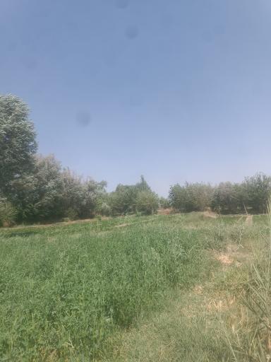عکس استوه