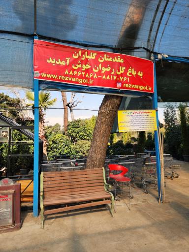 عکس باغ گل رضوان