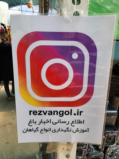 عکس باغ گل رضوان