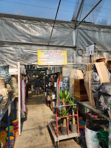 عکس باغ گل رضوان