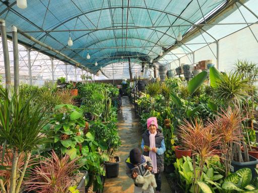 باغ گل رضوان