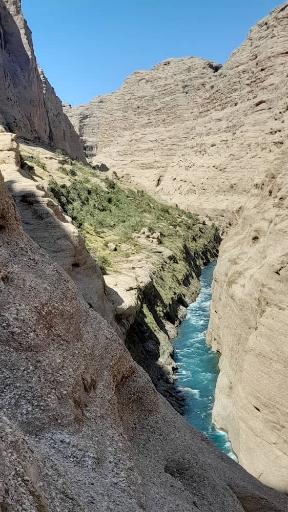 عکس بیشه خرما تنگوان اندیمشک