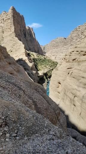 عکس بیشه خرما تنگوان اندیمشک