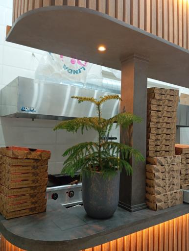 عکس پیتزا برگر الین