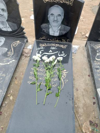 مزار رضا شیری