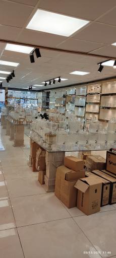 عکس پاشا سازه 