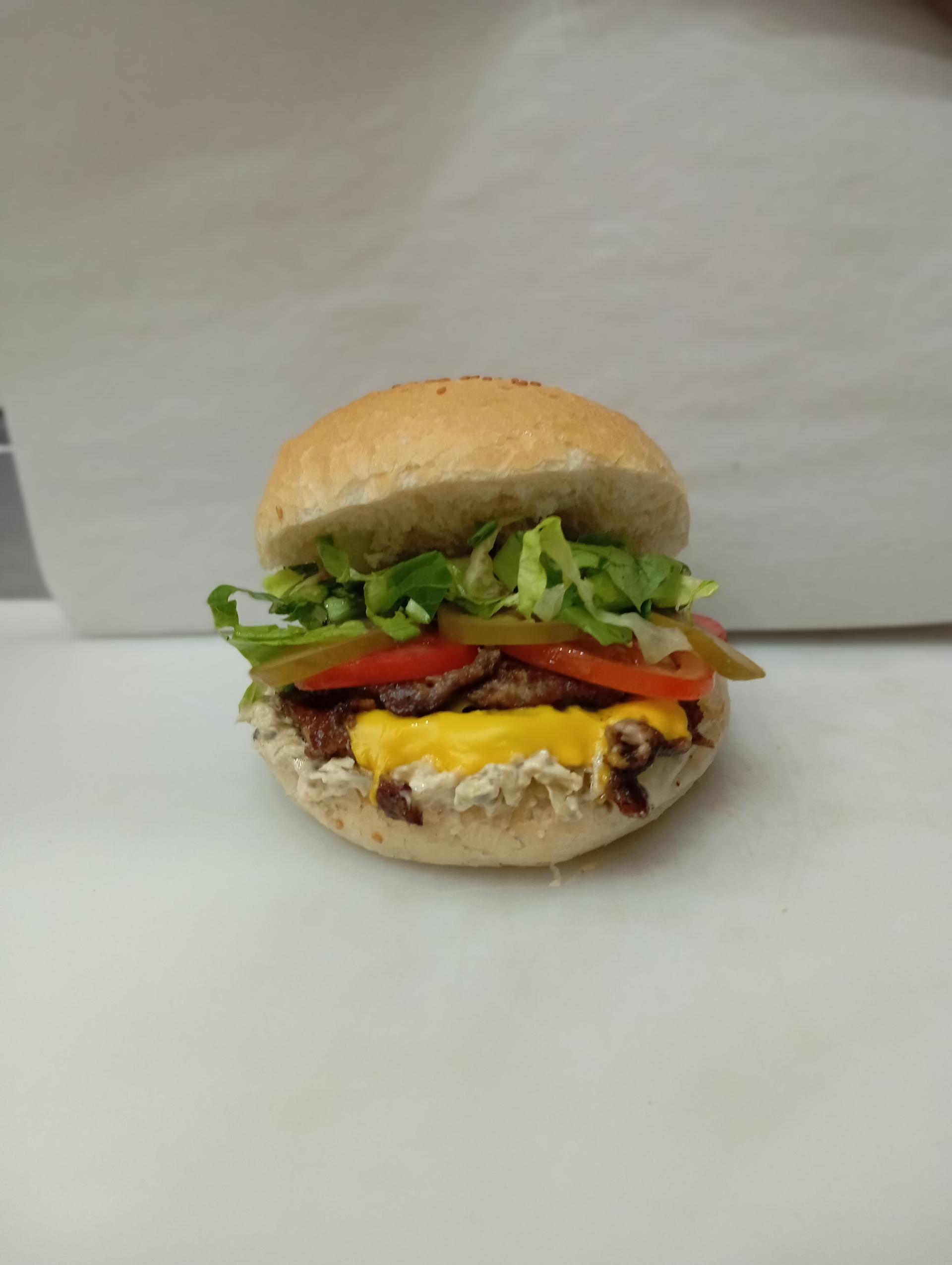 عکس پیتزا برگر الین