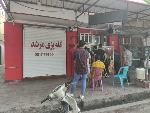 عکس پاکورا مرشد