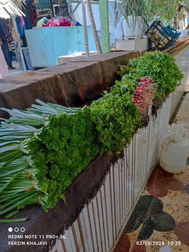 عکس بازار میوه و تره بار