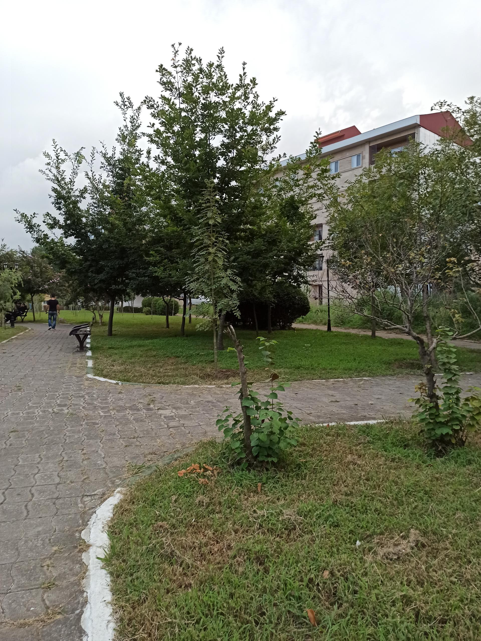 عکس پارک گیاه شناسی