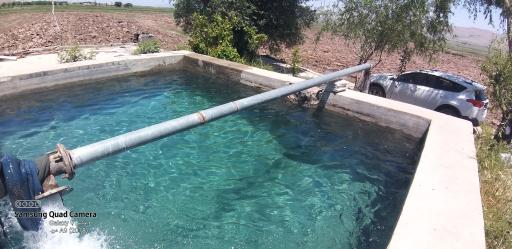 عکس اراضی کشاورزی خرمی