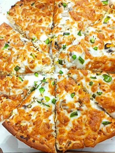 عکس پیتزا شبدیز