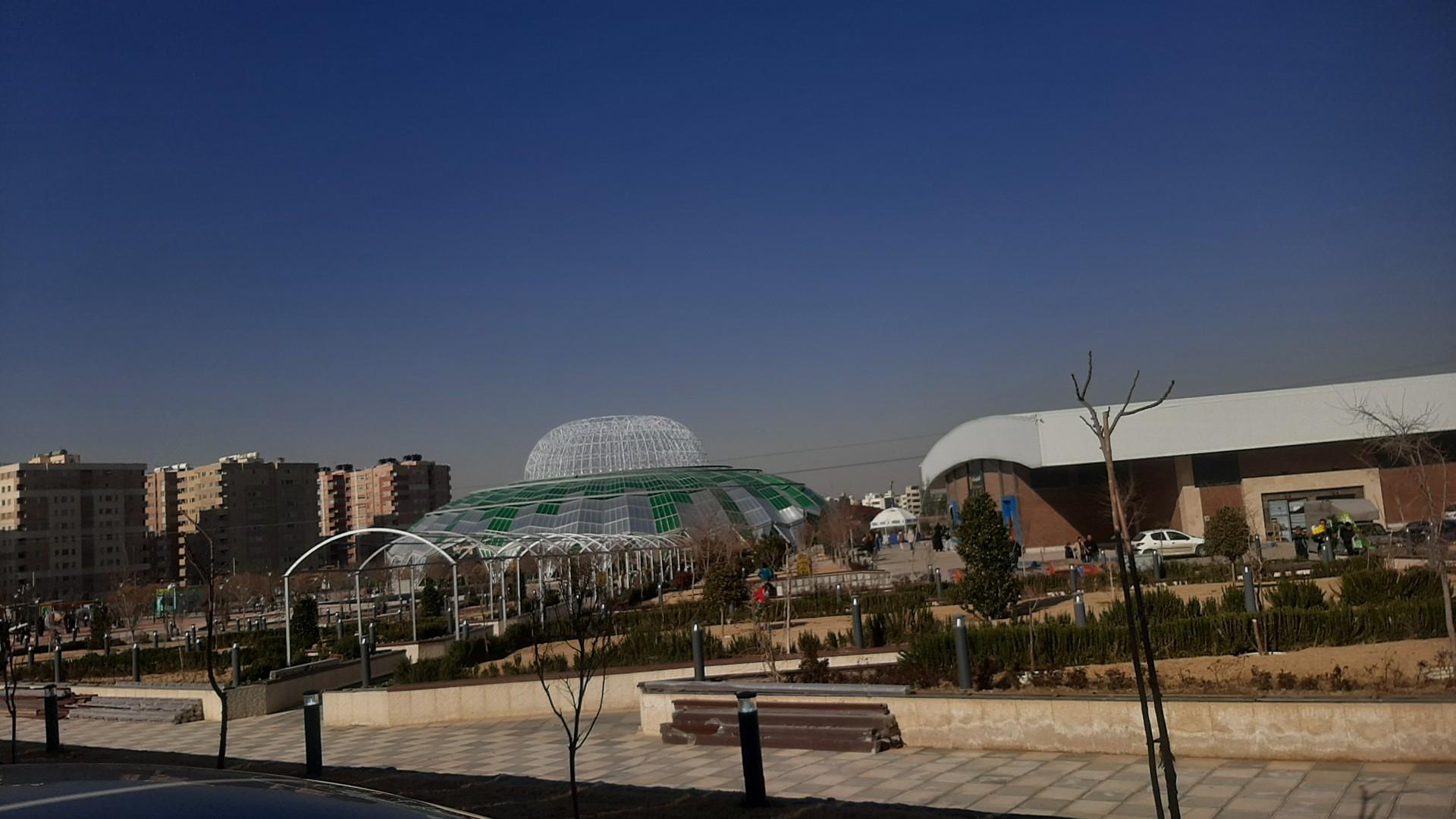 عکس سالن درخت و گلهای باغچه