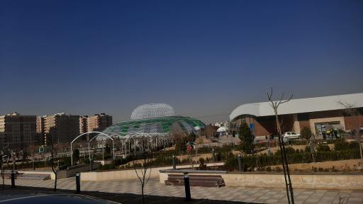 عکس سالن درخت و گلهای باغچه