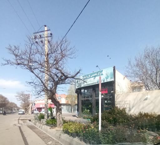 عکس گلفروشی آراز گل
