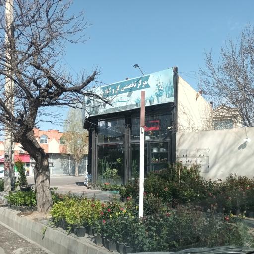 عکس گلفروشی آراز گل