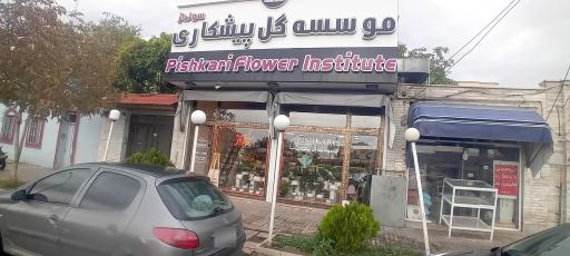 عکس موسسه گل پیشکاری سولماز 2