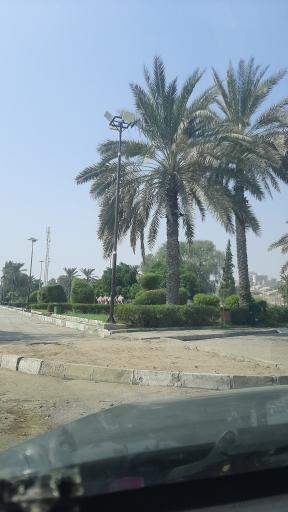 عکس بوستان گلها (پارک شتری)