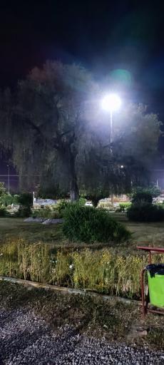 عکس بوستان گلها (پارک شتری)